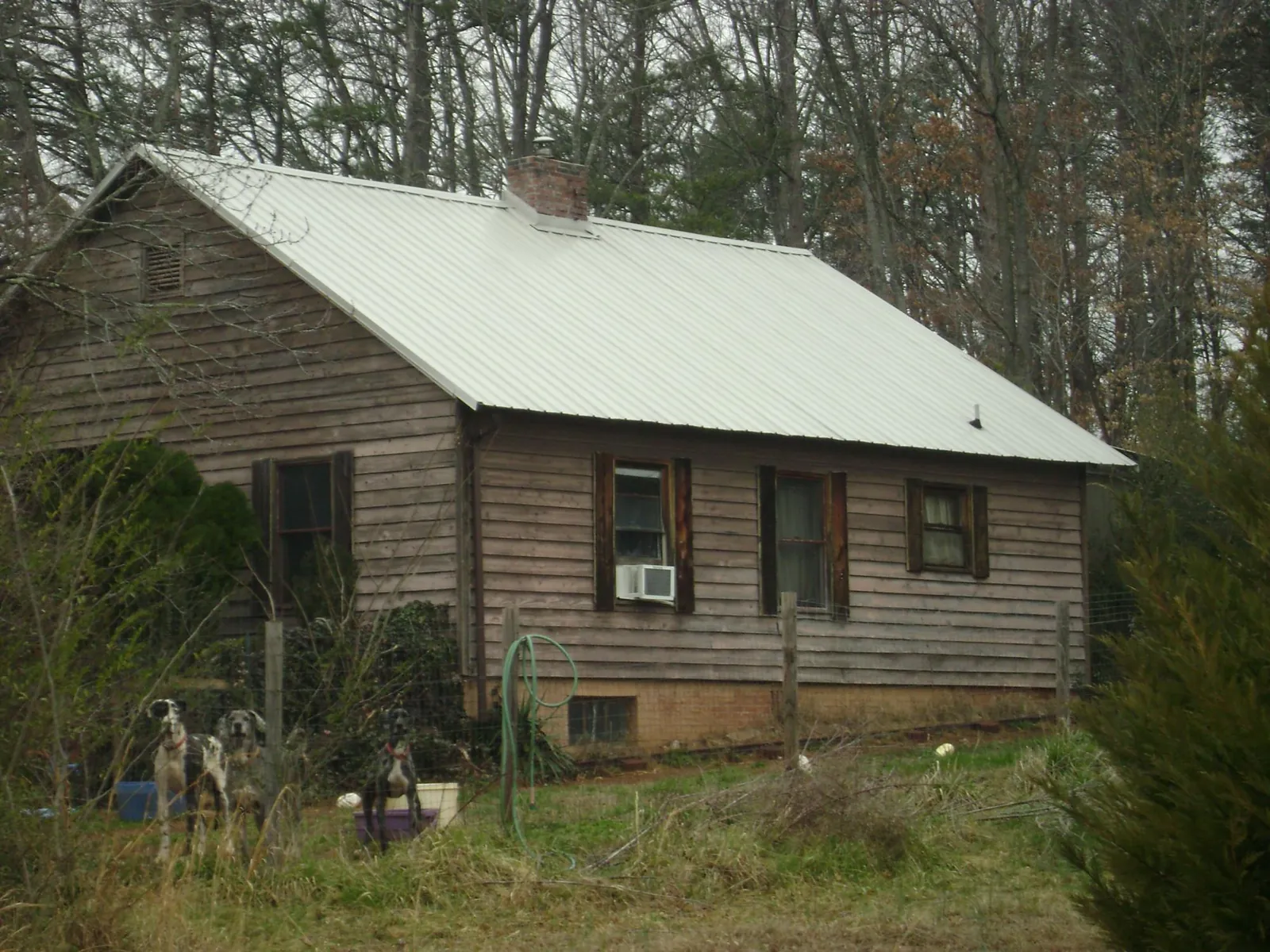 White metal roof on an old wood sided farmhouse, from a Asphalt Shingle Roof Repair job in Pigeon Forge